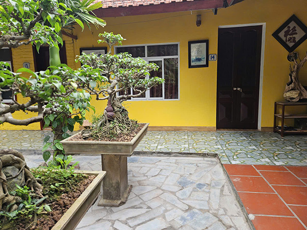 Garden Area